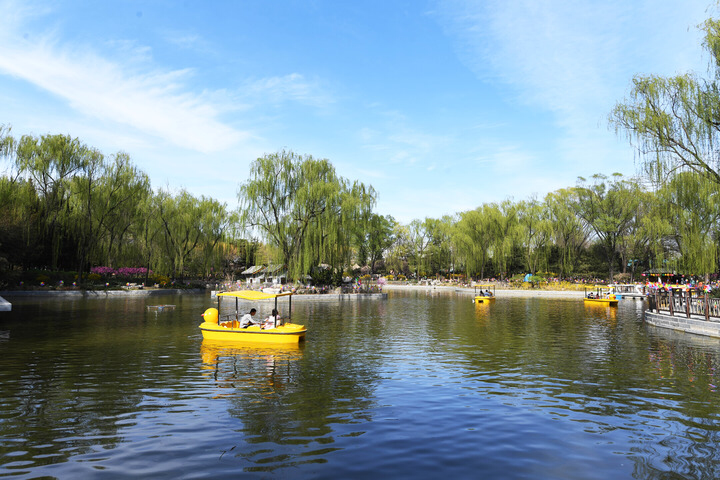 ↑2021年4月3日,游客在北京南宫五洲植物乐园划船。新华社记者 任超 摄